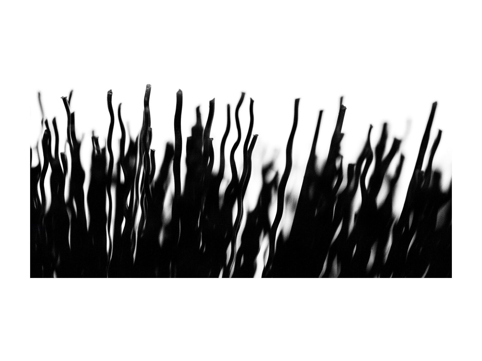 Muc-Off Tyre & Cassette Brush - Bild 4