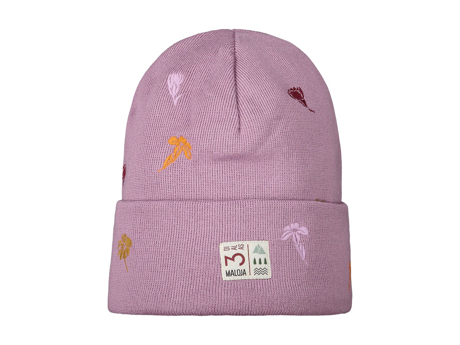 Maloja BauorchaM., bellflower - Bild 1