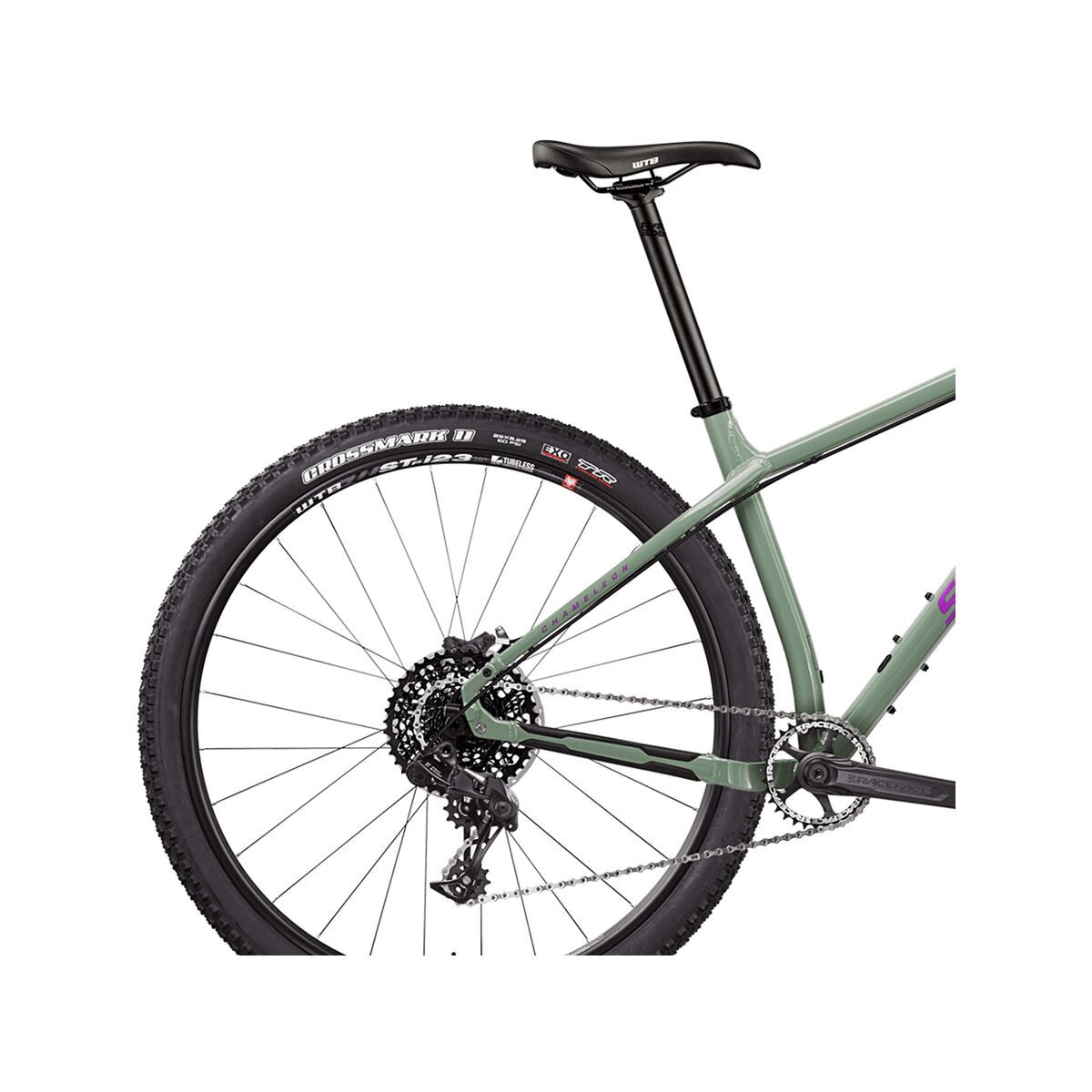 Santa Cruz Chameleon D 29, gloss olive and violet - Bild 6