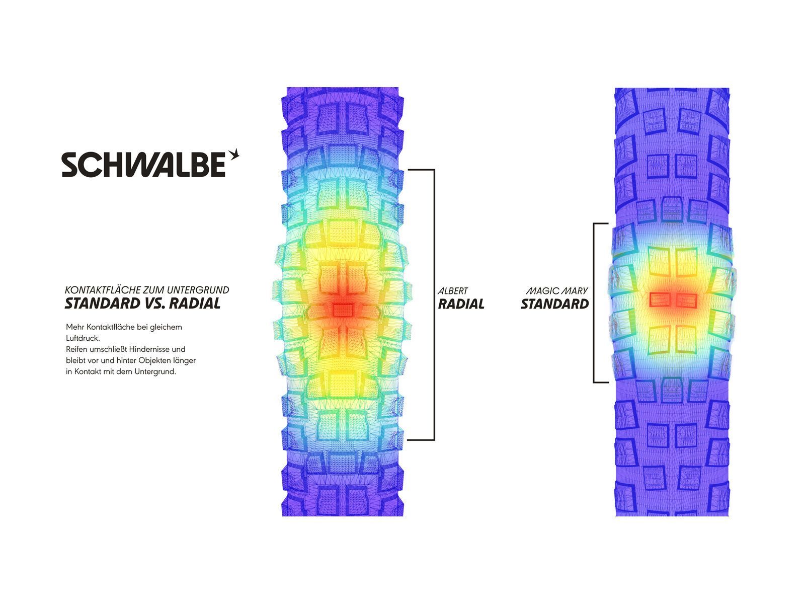 Schwalbe Albert Radial Addix Ultra Soft Gravity Pro - 29 Zoll - Bild 4