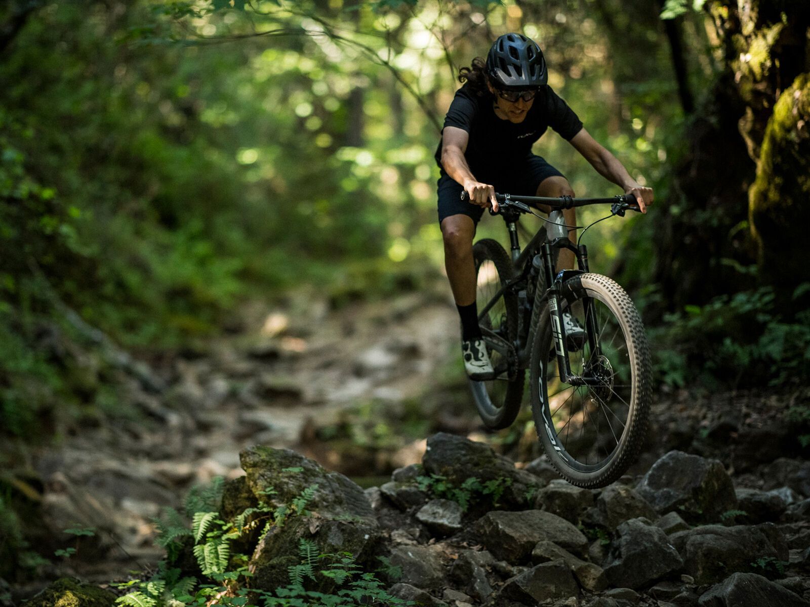 Specialized S-Works Epic Evo Frameset, flake silver/blue metallic/black - Bild 5