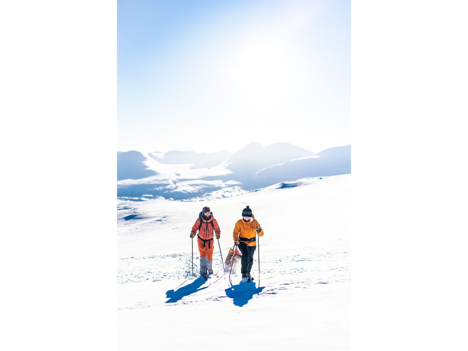 Hestra Ergo Grip Active 5 Finger, dark forest/natural brown - Bild 9