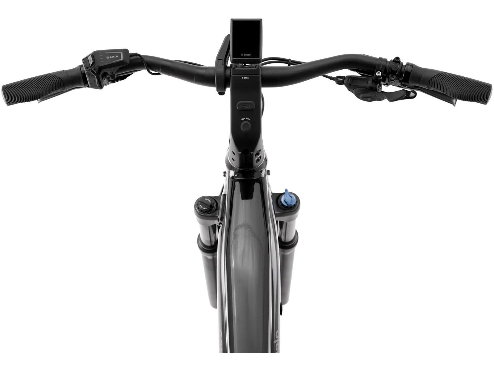 Cannondale Tesoro Neo X 1 - 29, grey - Bild 4