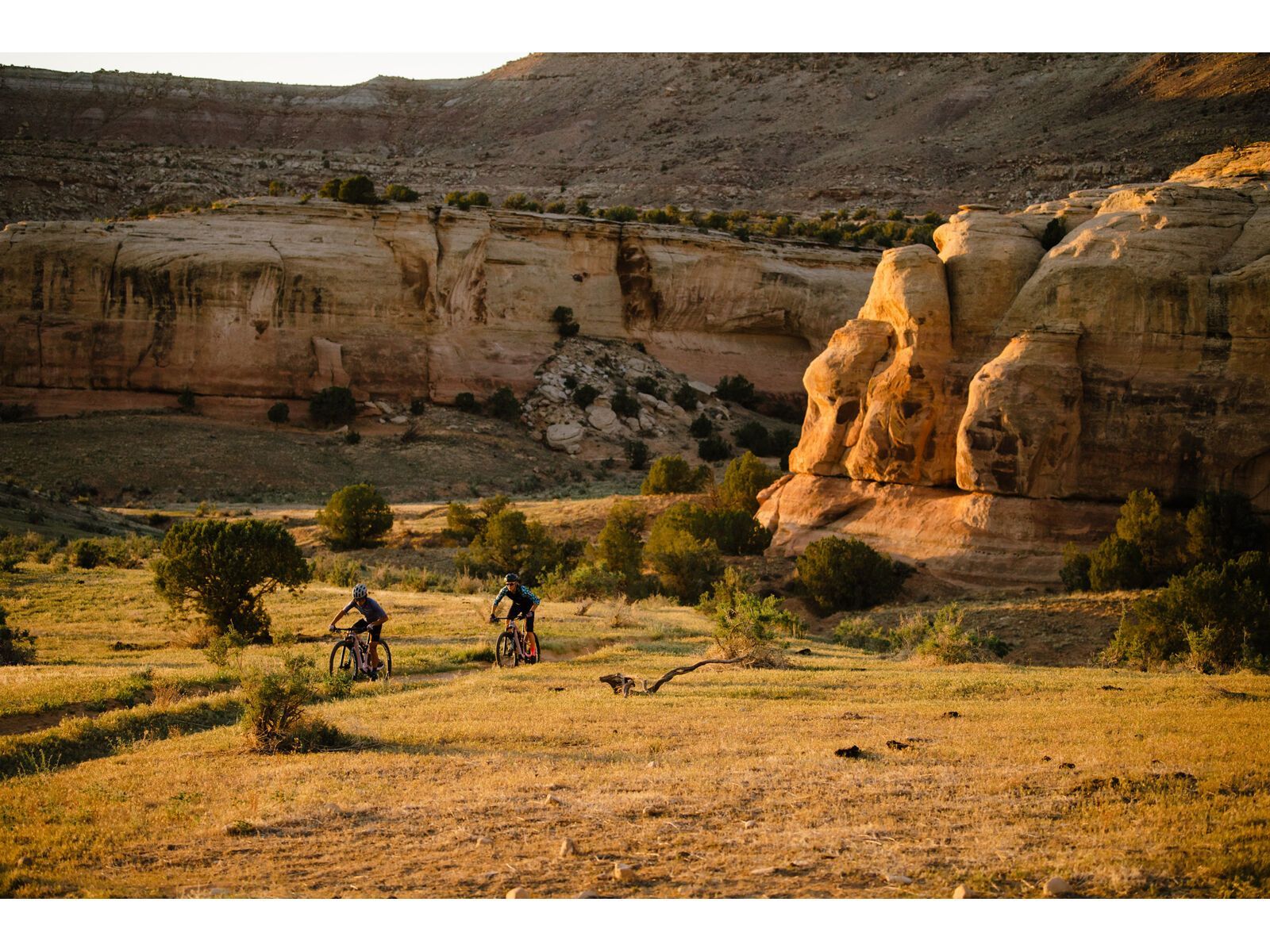 Juliana Wilder C / R / TR / 29, purple sweetness / lavender - Bild 29