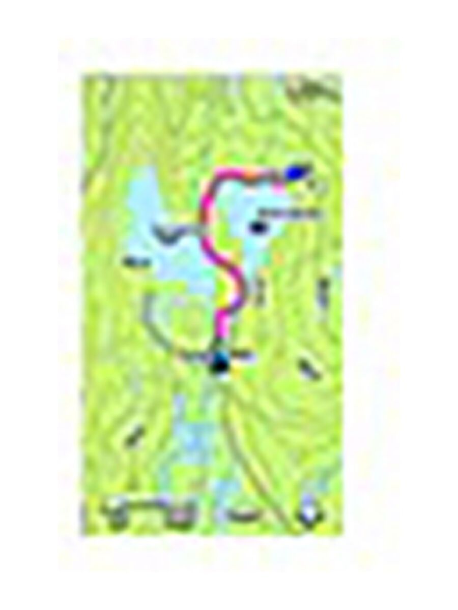 Garmin Topo Norwegen Premium 4 - Sentral Ost (microSD/SD) - Bild 3