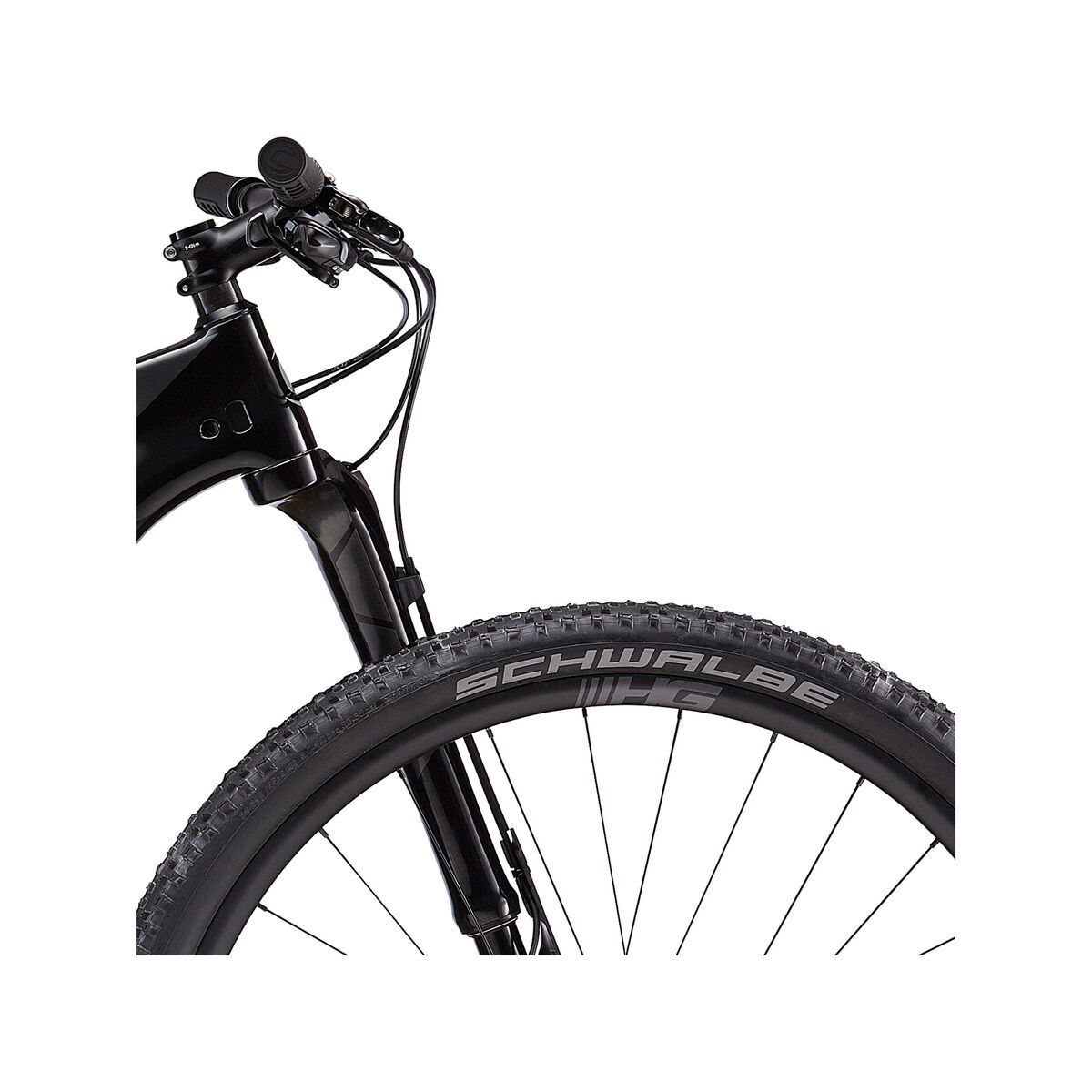 Cannondale F-Si Hi-Mod 1, black pearl w/ graphite and chrome - Bild 9