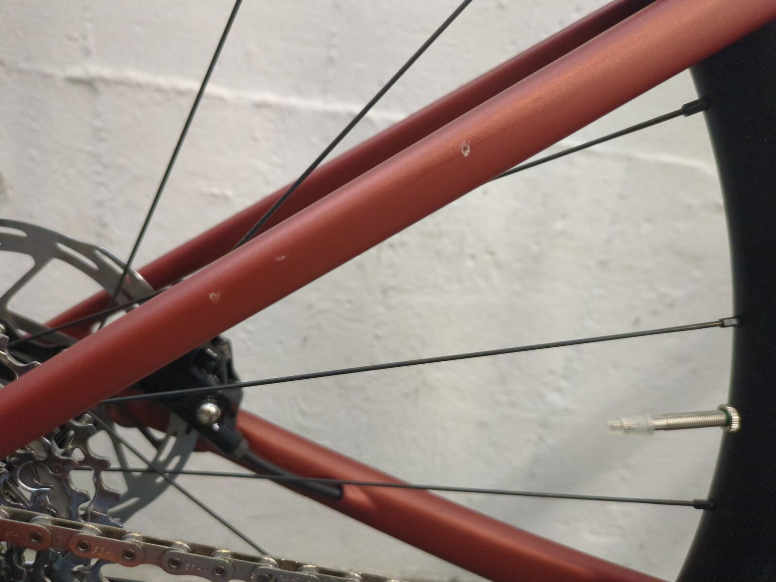 ***2. Wahl*** Specialized Roubaix SL8 Expert copper/smoke - Bild 2