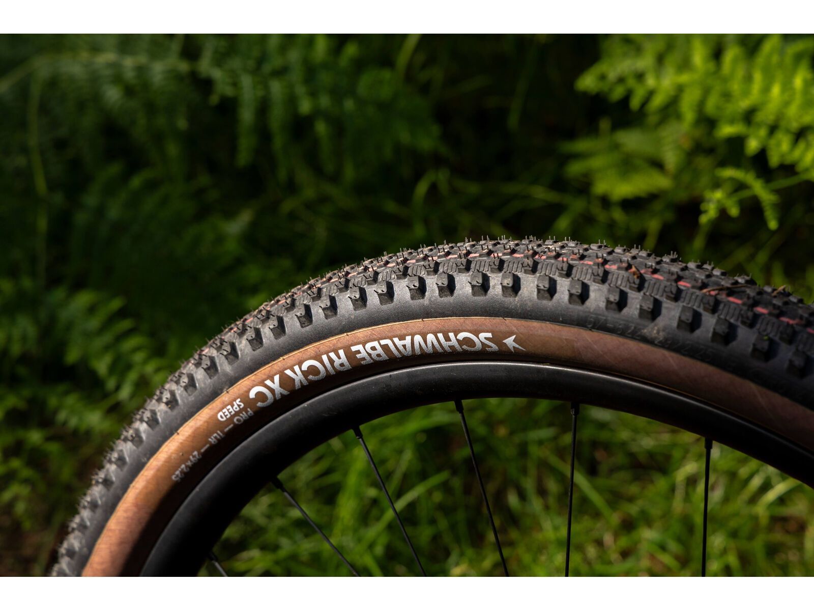 Schwalbe Rick XC Pro Evo Addix Speed TLR - 29 Zoll, transp. sidewall - Bild 23