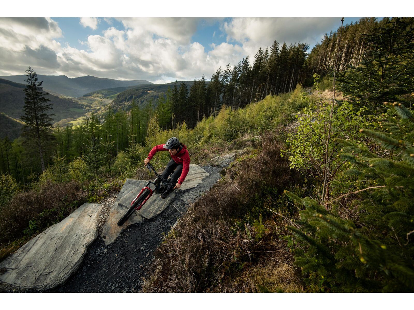 Santa Cruz Bronson C / S / MX, gloss moss/blue - Bild 8