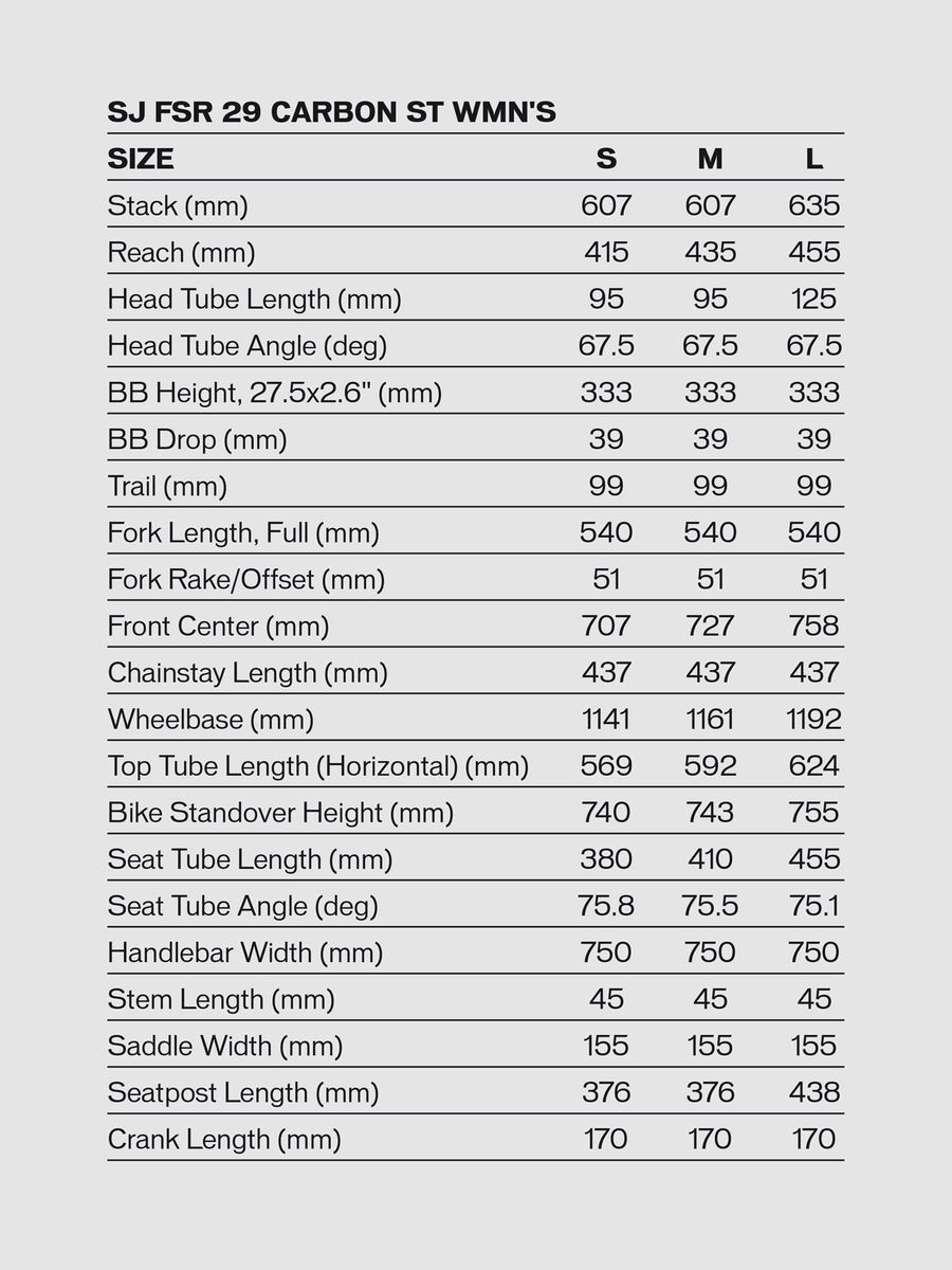 Specialized Women's Stumpjumper ST Comp Carbon 29, satin/dusty turquoise/copper - Bild 2