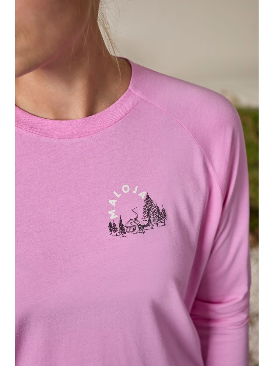 Maloja Allegrinim., winter magnolia - Bild 3