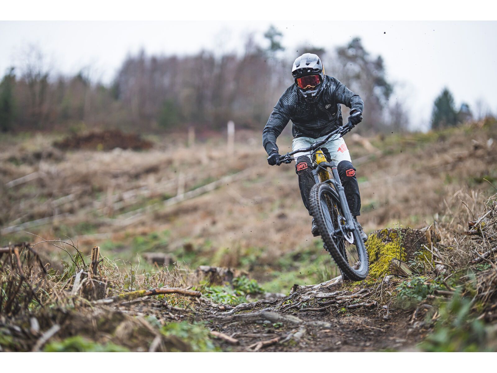 SCIU Aspen, moss yellow - Bild 29