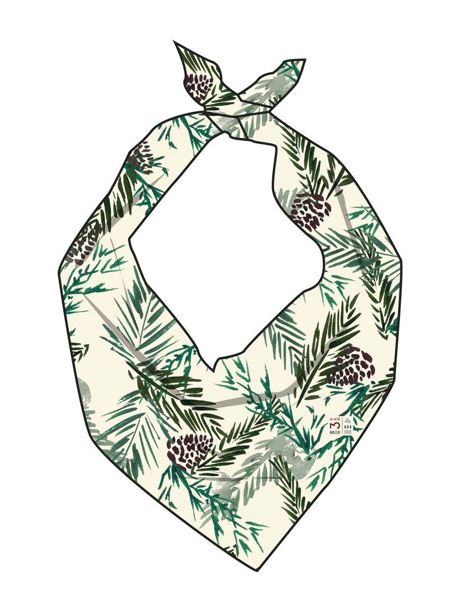 Maloja TadeusM., stone pine pinewood - Bild 3