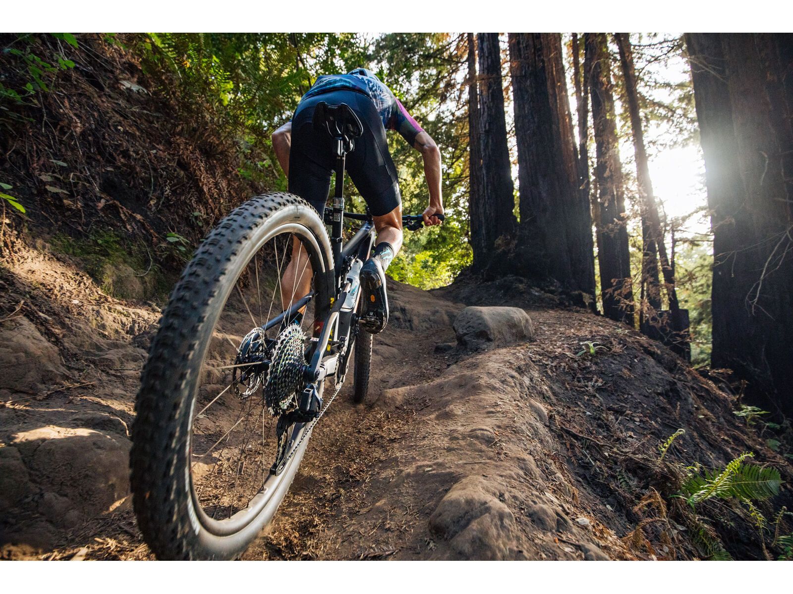 Santa Cruz Blur C / XT / RSV / 29, sockeye sal/blue - Bild 30