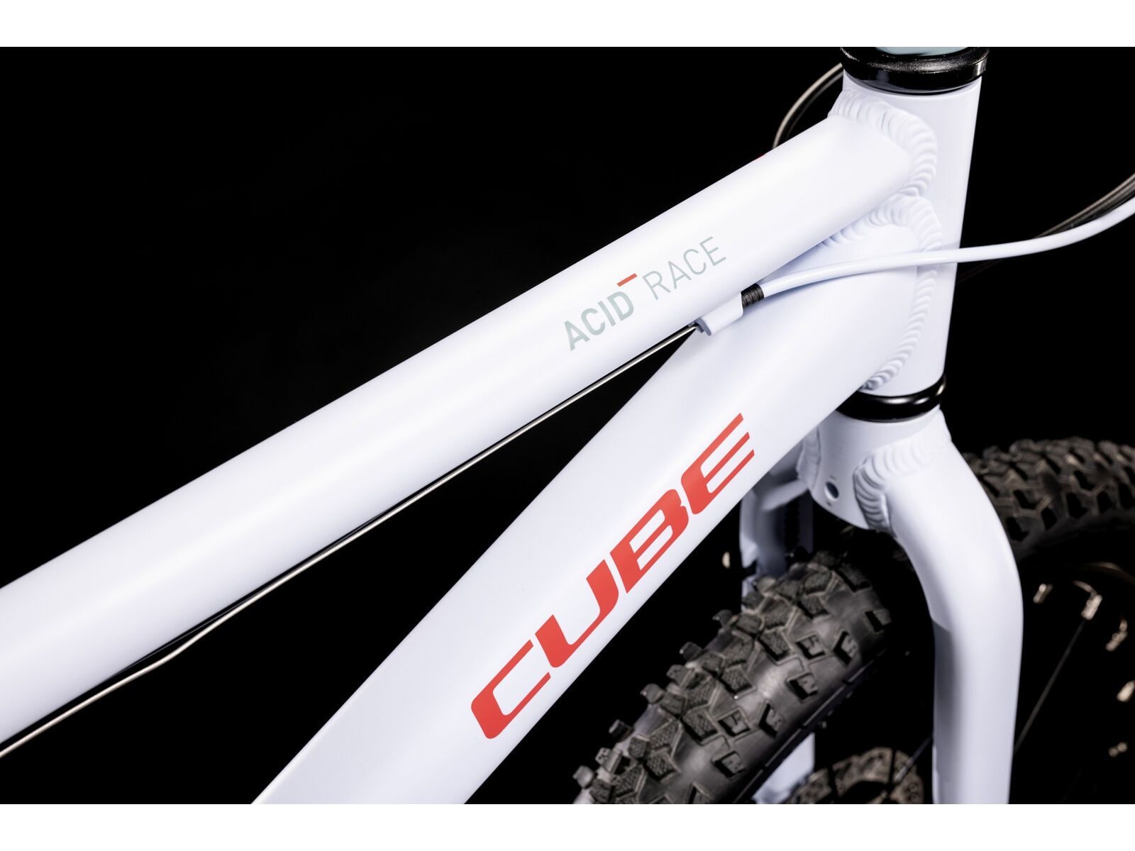 Cube Acid 200 Disc, blue´n´coral - Bild 3