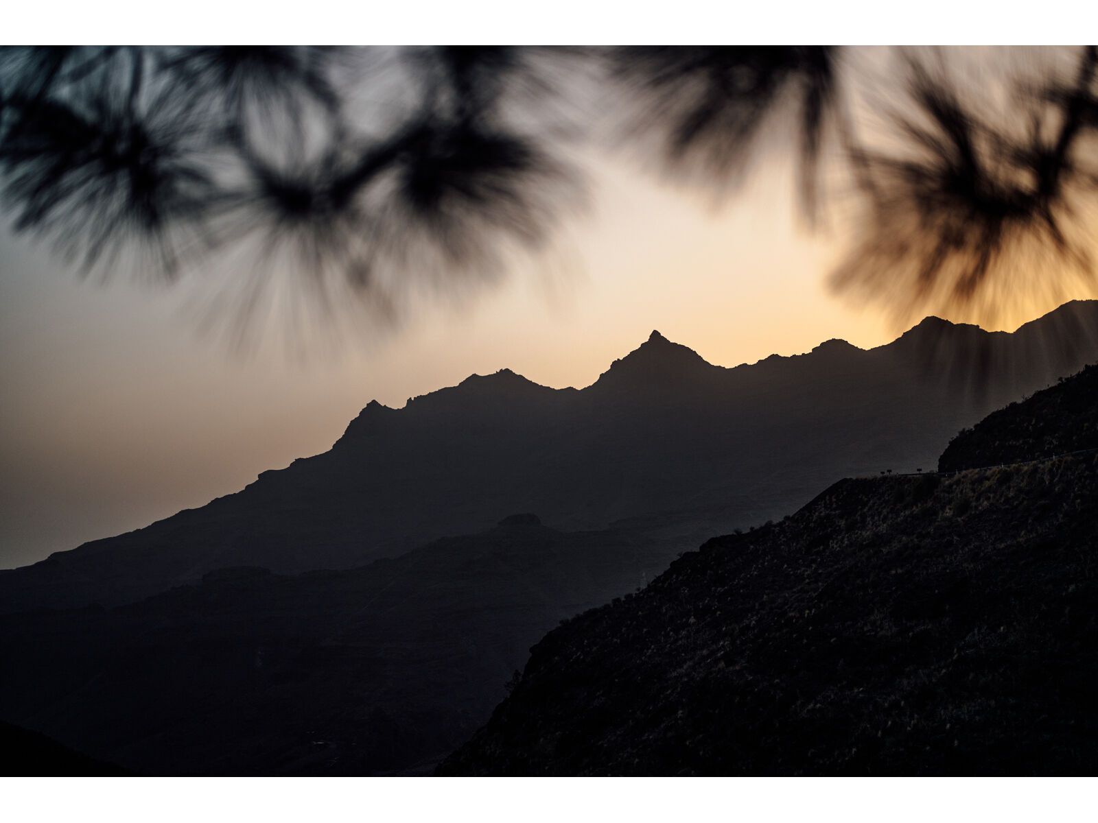 Le Col Womens Hors Categorie Bib Shorts II, black/white - Bild 14