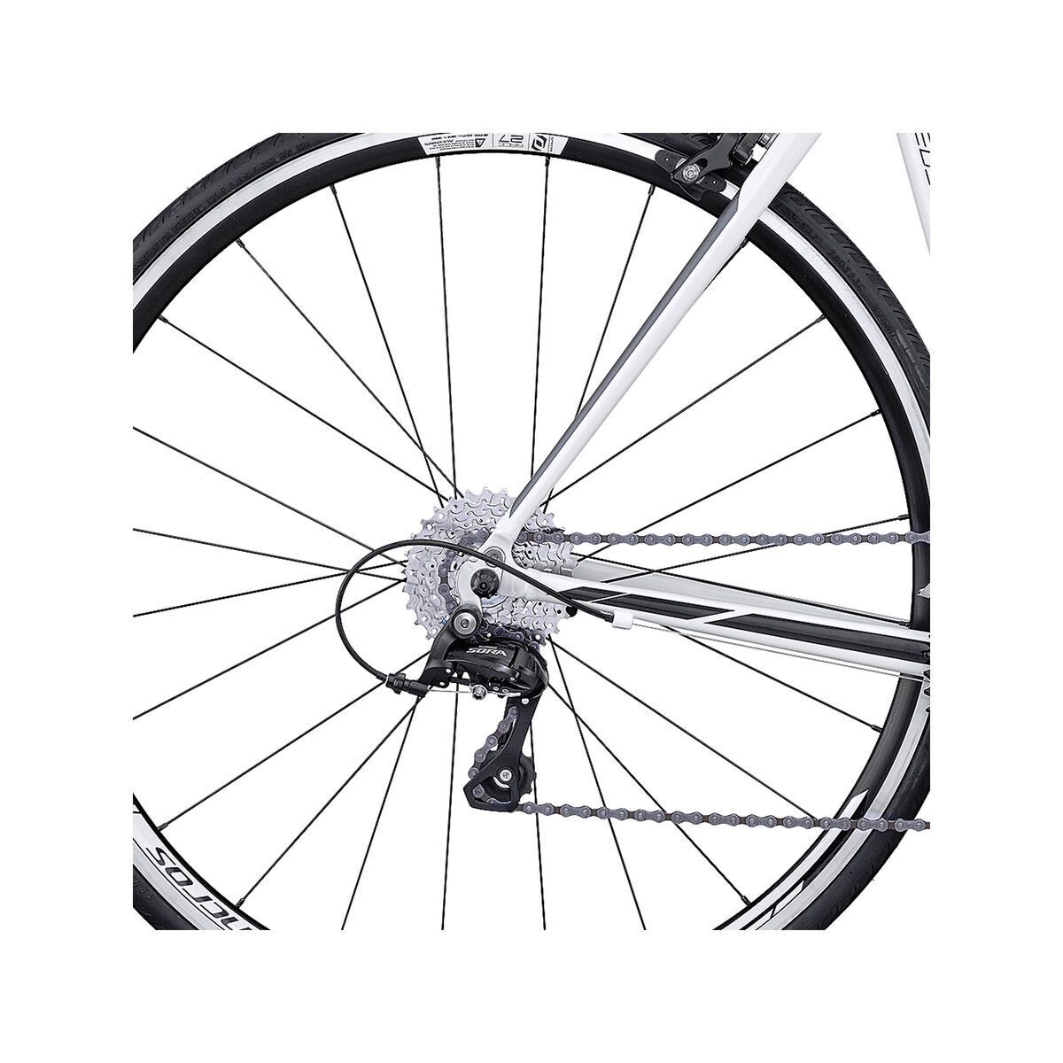 Scott Speedster 50 Compact, white/black - Bild 4