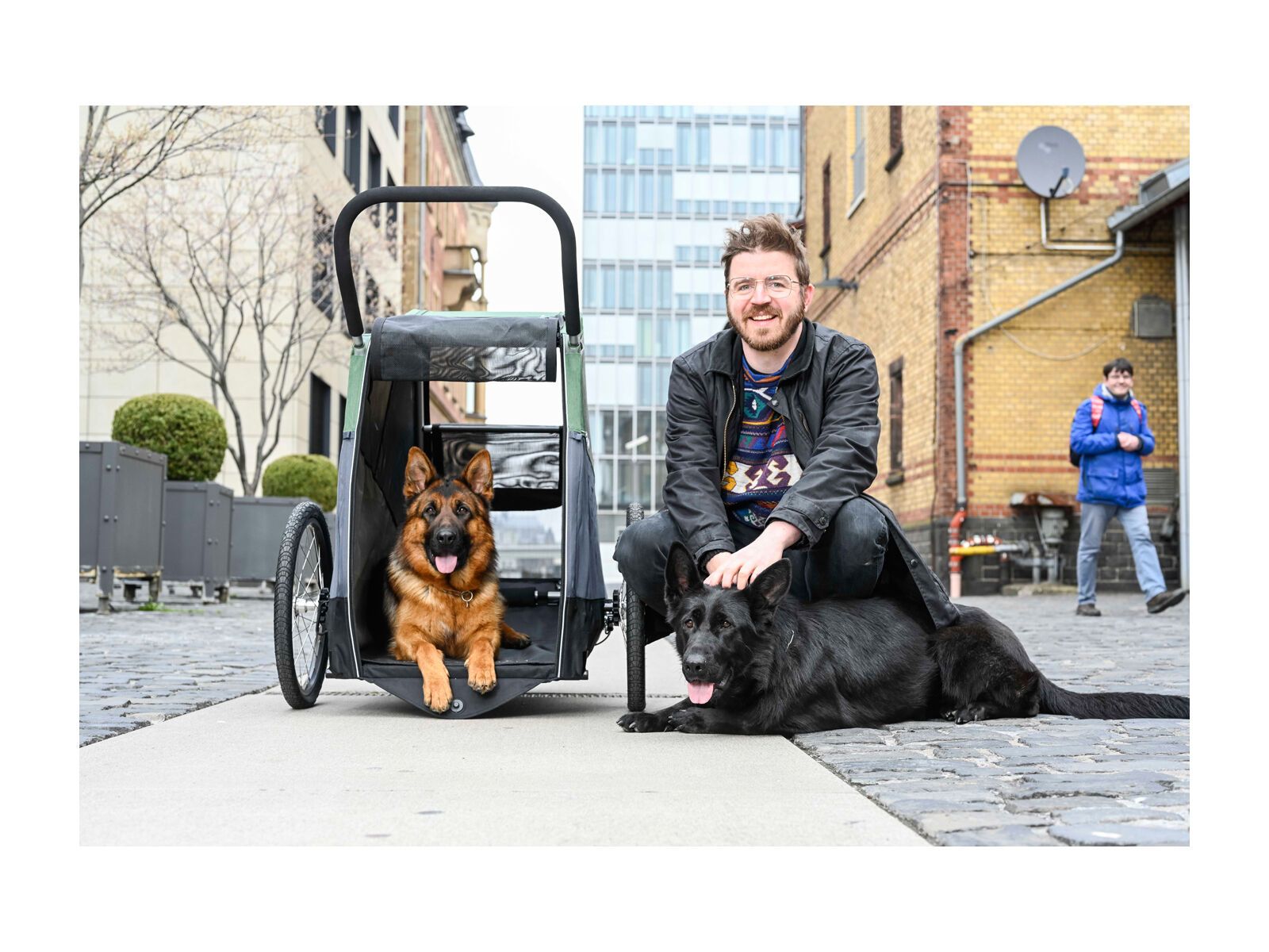 Croozer Dog Bruuno, pine green - Bild 6