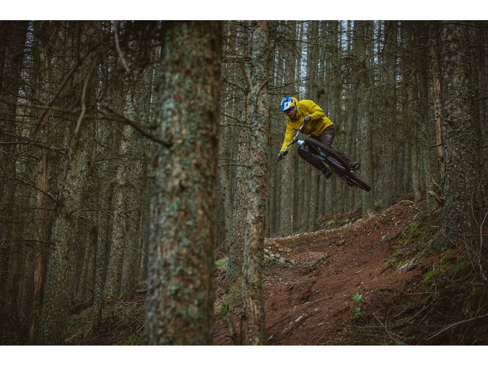 Schwalbe Shredda Rear Radial Addix Ultra Soft Gravity Pro - 29 Zoll - Bild 19