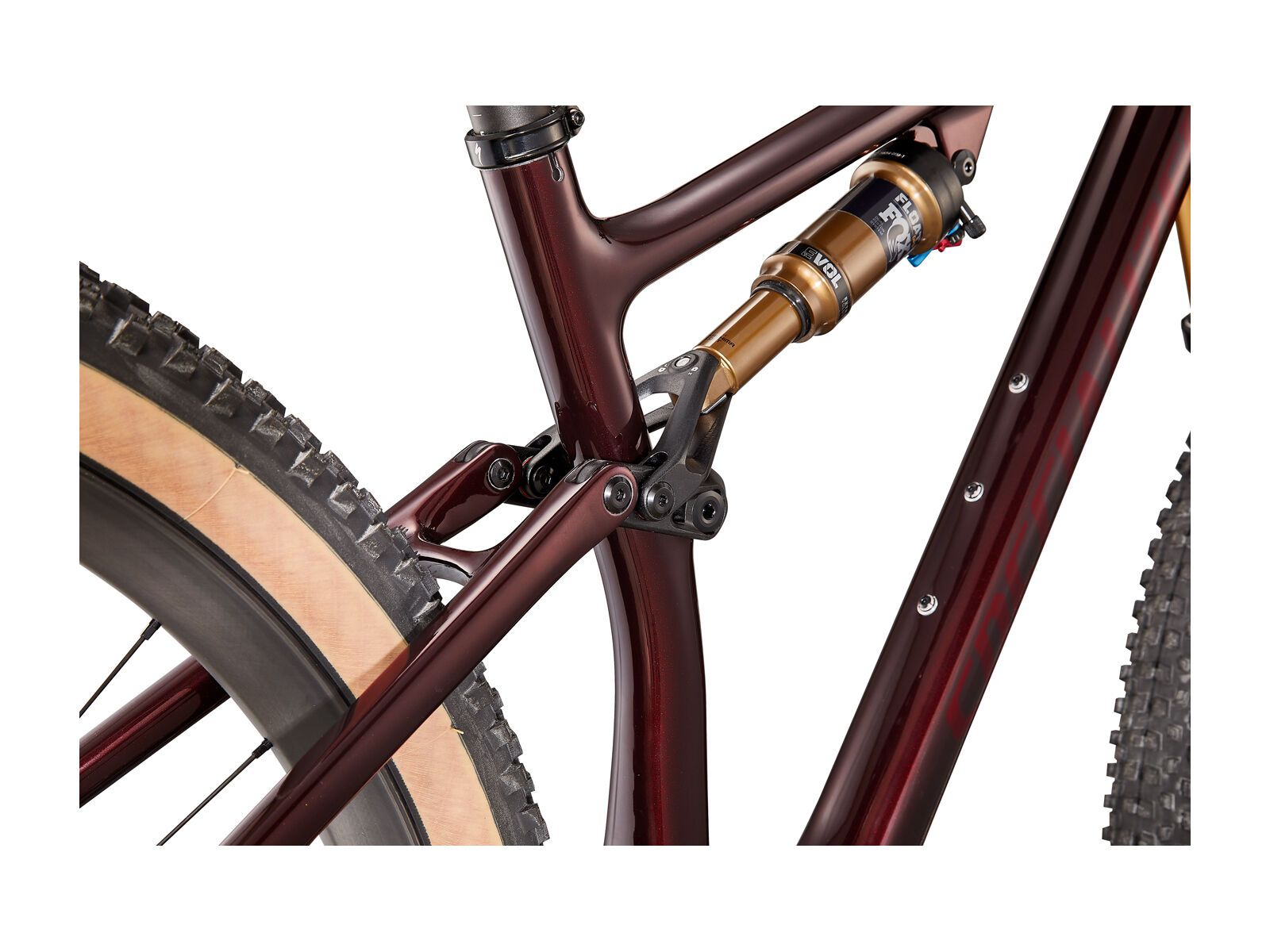 Specialized Epic Evo Pro, red onyx/red tint over carbon - Bild 6