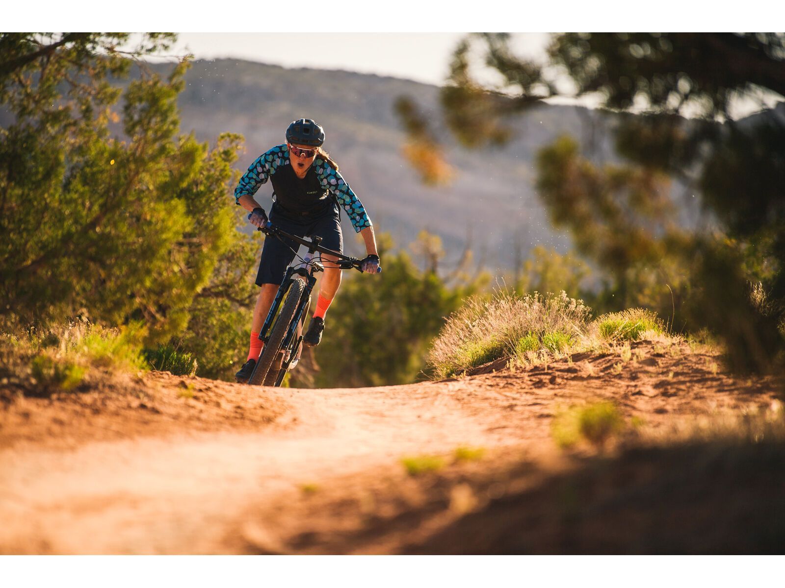 Juliana Wilder C / R / TR / 29, purple sweetness / lavender - Bild 25