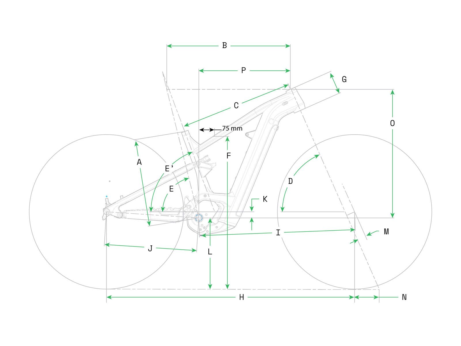 ***2. Wahl*** Cannondale Moterra EQ agave - Bild 8