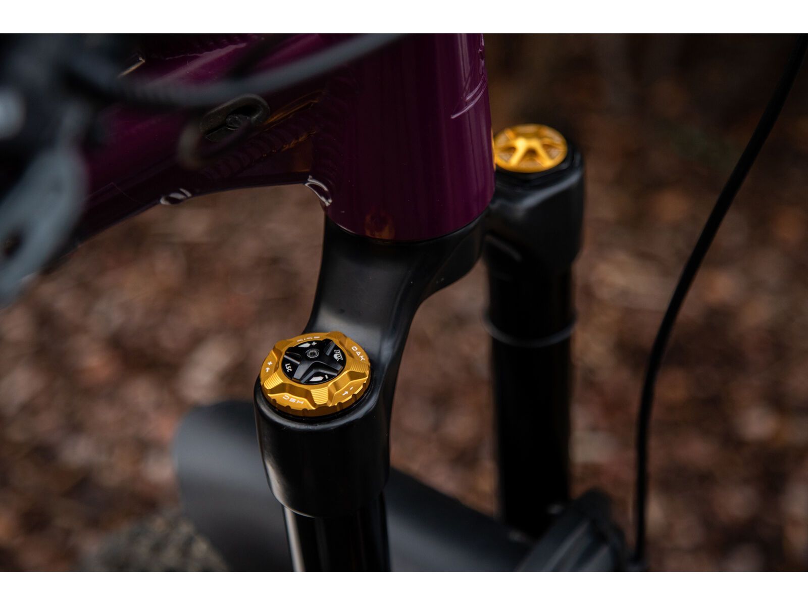 OAK Components Forkcap HSC für Fox 34, 36, 38, 40, gold - Bild 2