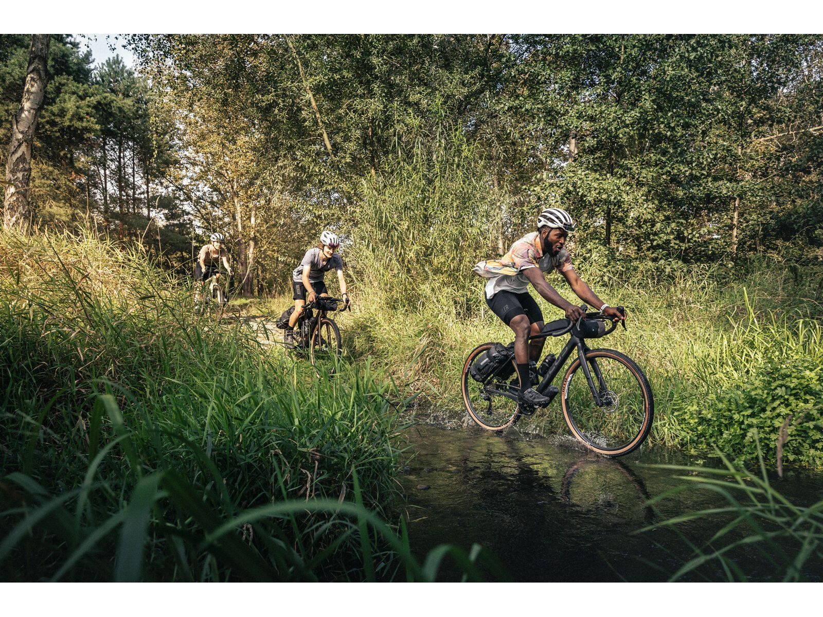 Focus Atlas 8.9, gold brown - Bild 18