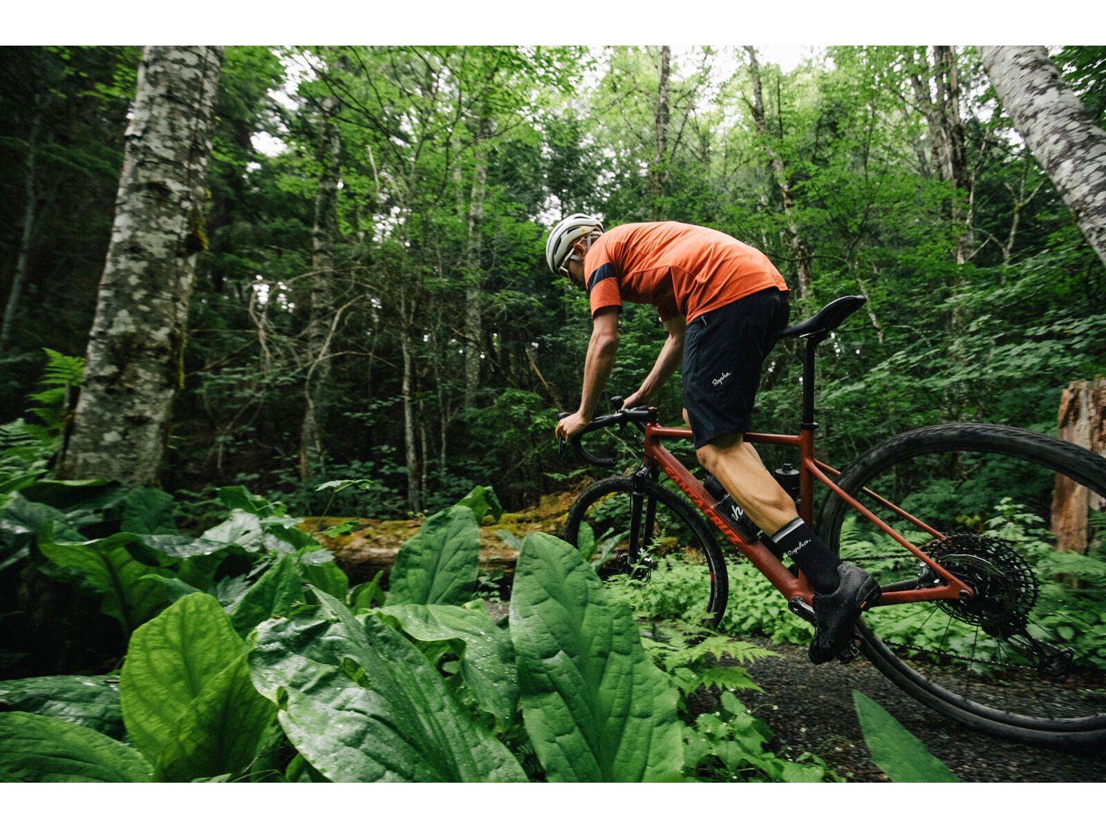 Santa Cruz Stigmata CC / Apex, british racing green - Bild 14