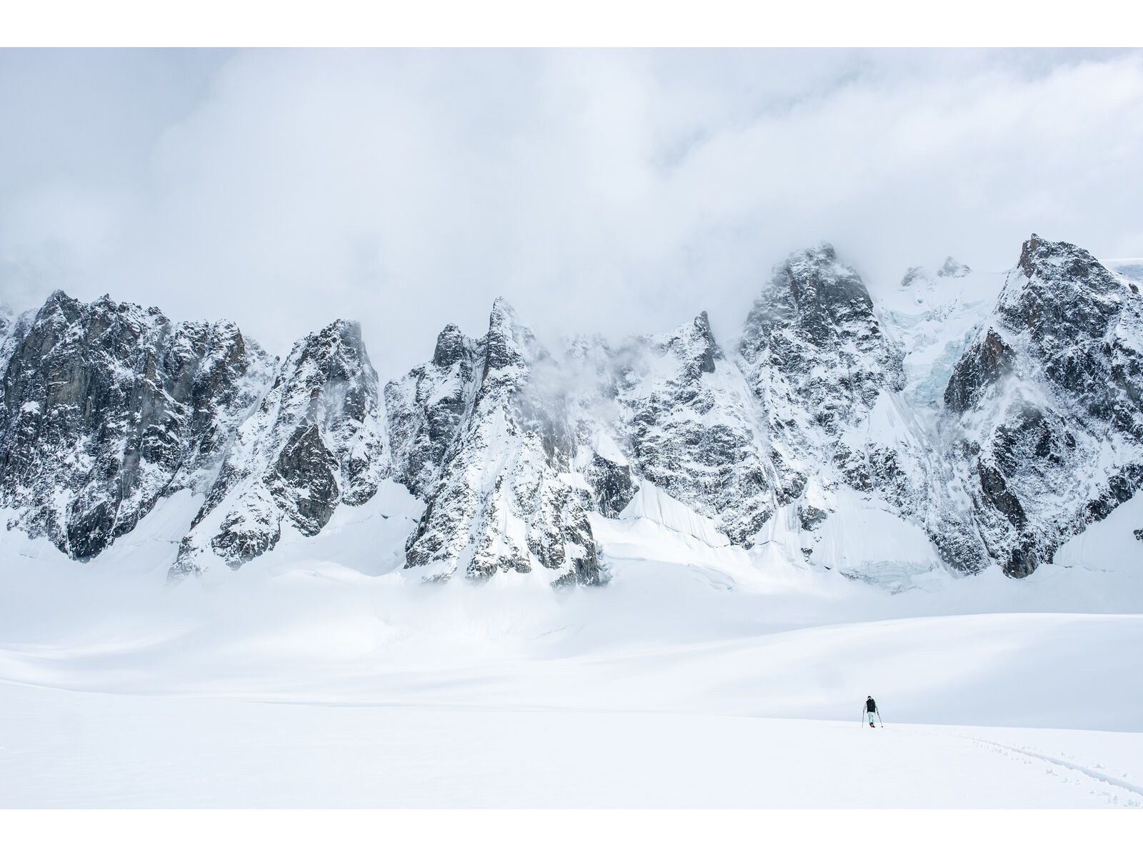 Black Crows Anima, dark beige - Bild 15