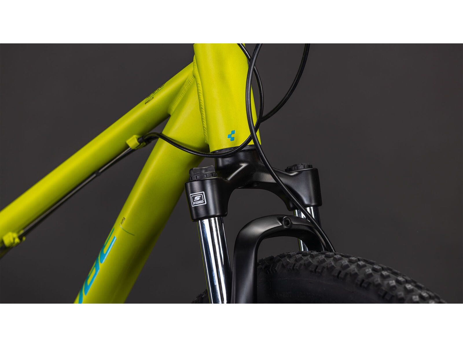 Cube Acid 240 Disc, lizard´n´blue - Bild 6