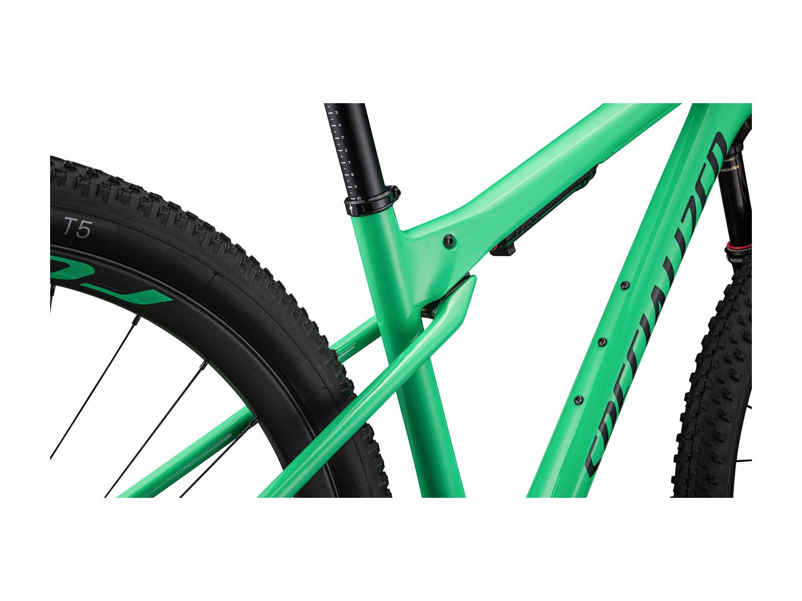 Specialized Epic World Cup Expert, electric green/forest green pearl - Bild 6