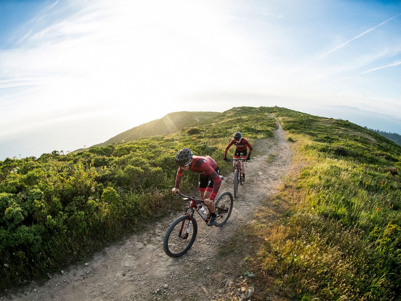Specialized S-Works Epic Frameset, carbon/cobalt/brassy yellow - Bild 4