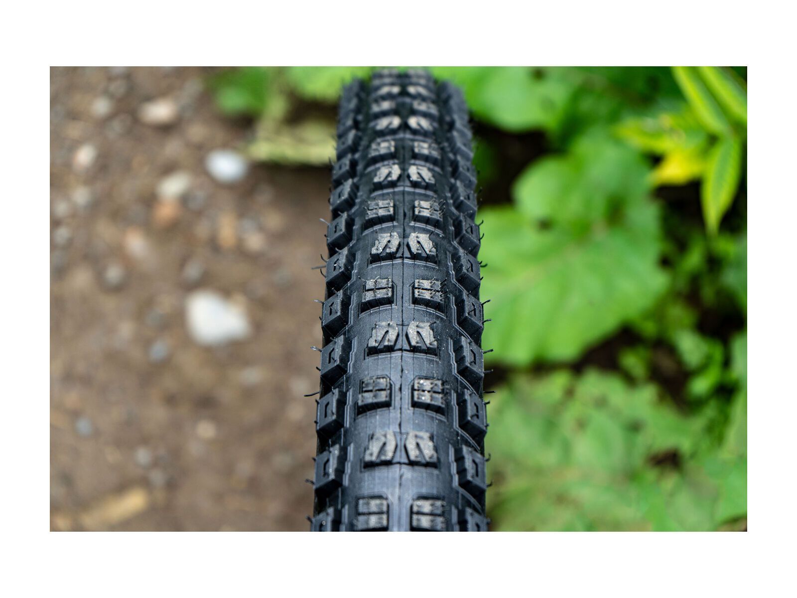 Specialized Butcher Grid Trail 2Bliss Ready T9 - 29 Zoll - Bild 3