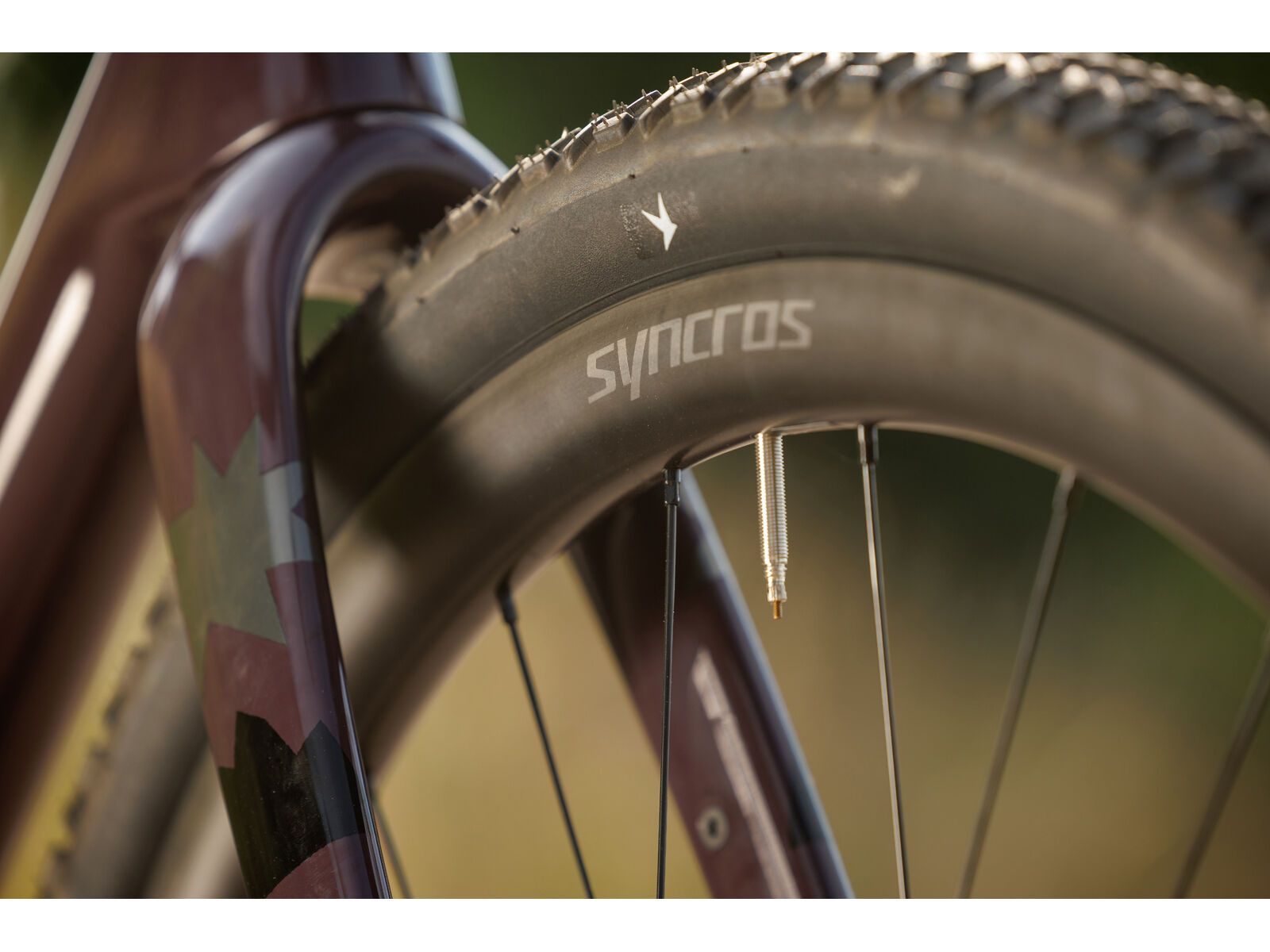 Scott Addict Gravel 30, mulberry purple - Bild 22