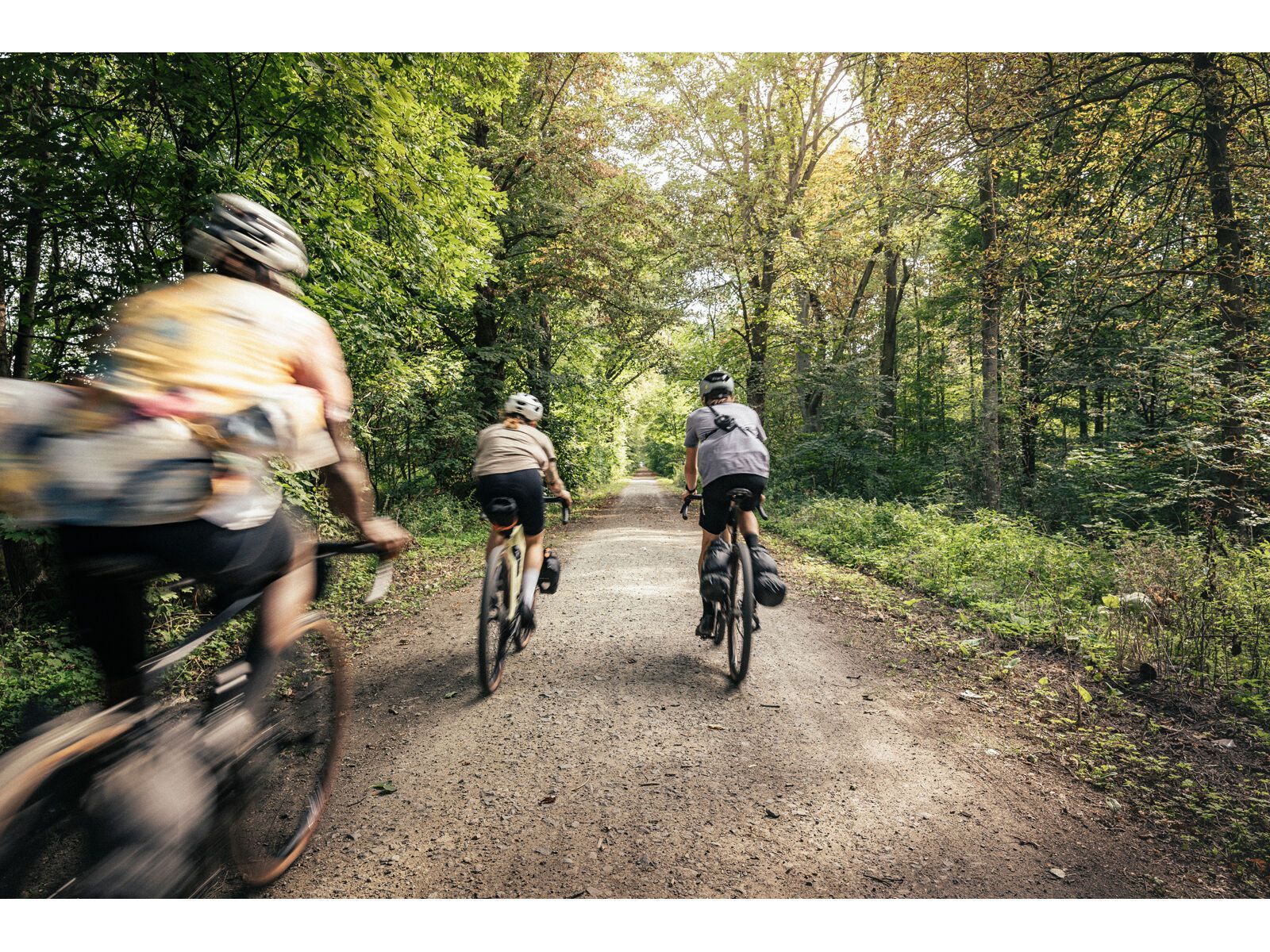 Focus Atlas 8.7, black - Bild 15