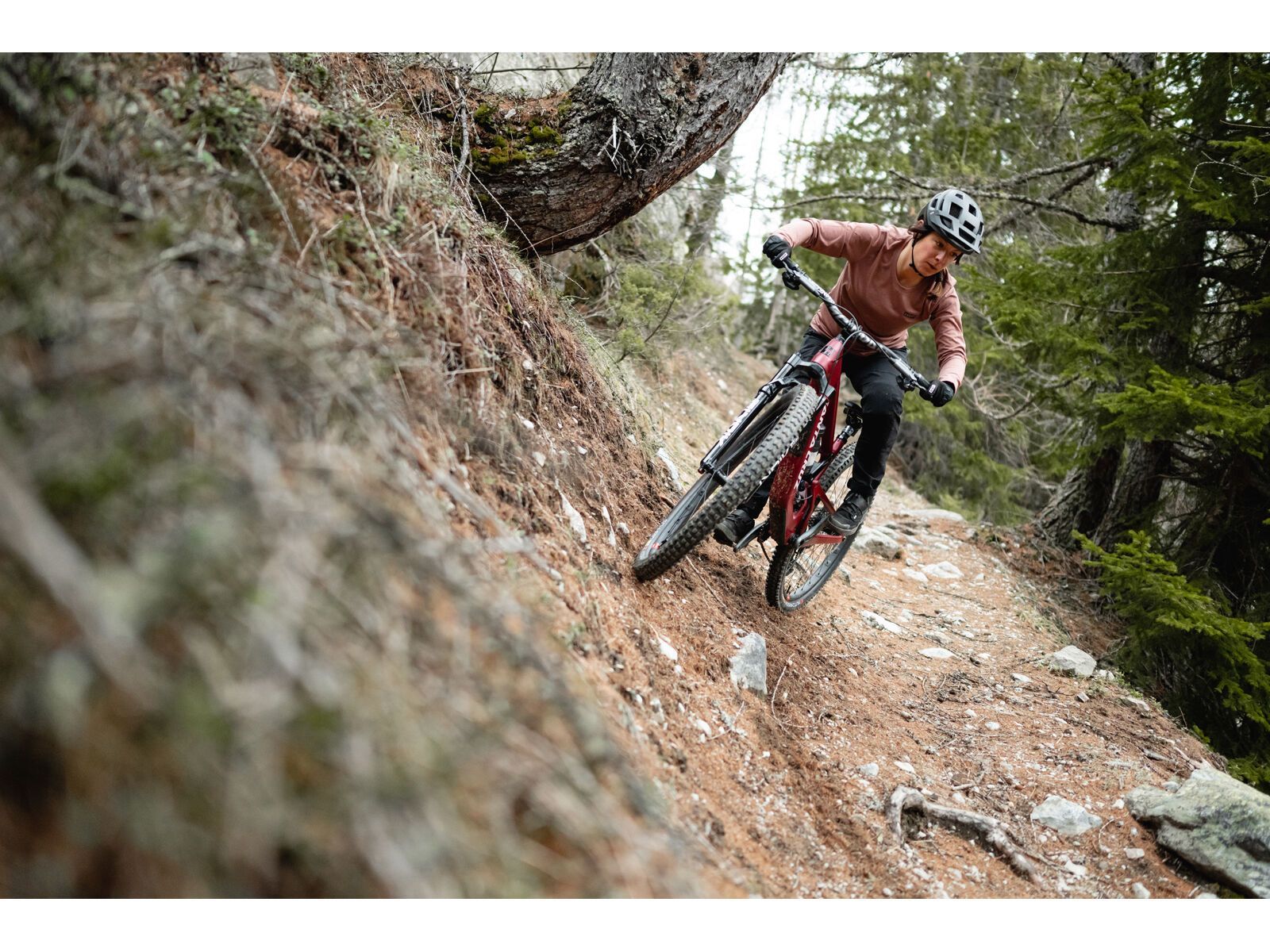 Santa Cruz Hightower C / GX AXS / 29, matte cardinal red - Bild 14