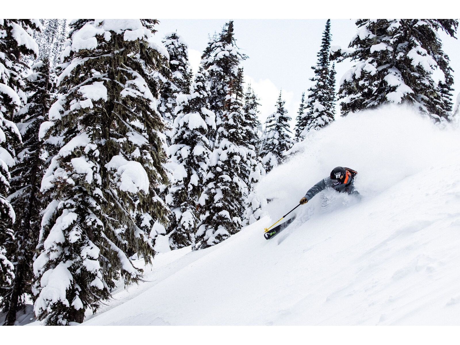 Line Blade Optic 104 - Bild 14