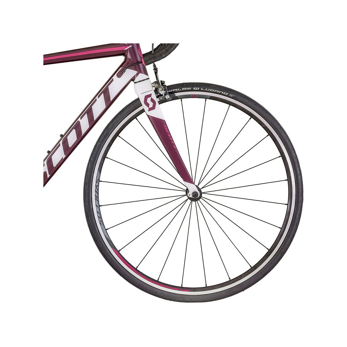 Scott Contessa Speedster 25 - Bild 2