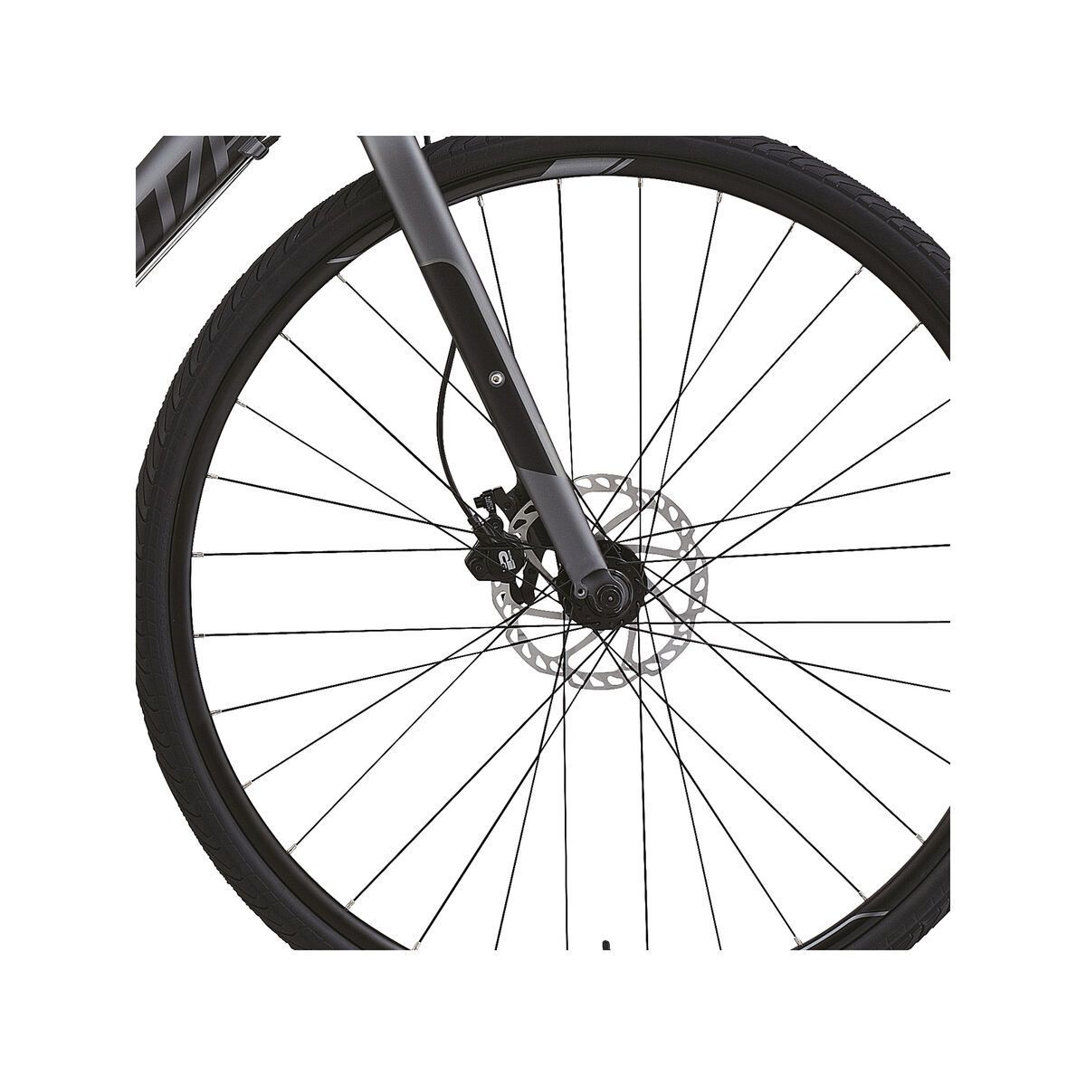 Specialized Sirrus Sport Disc, Satin Graphite/Black/Sterling - Bild 2