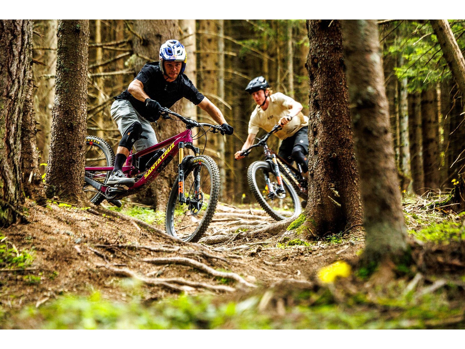 Santa Cruz Bronson CC / X0 AXS / MX, translucent root beer - Bild 20