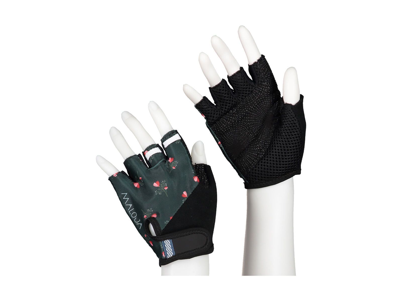 Maloja RischM., pinetree - Bild 1