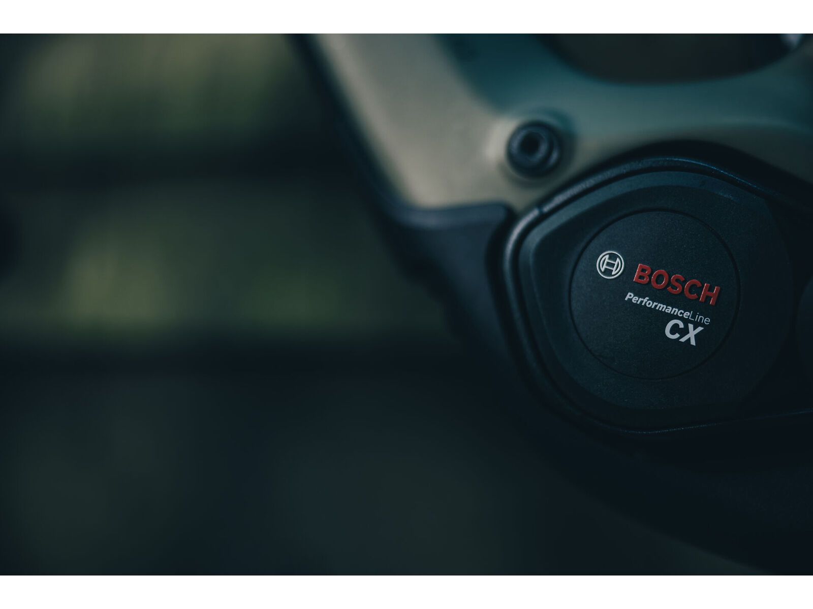 Cube AMS Hybrid 177 C:62 TM 600X, reedgreen´n´matrix - Bild 12