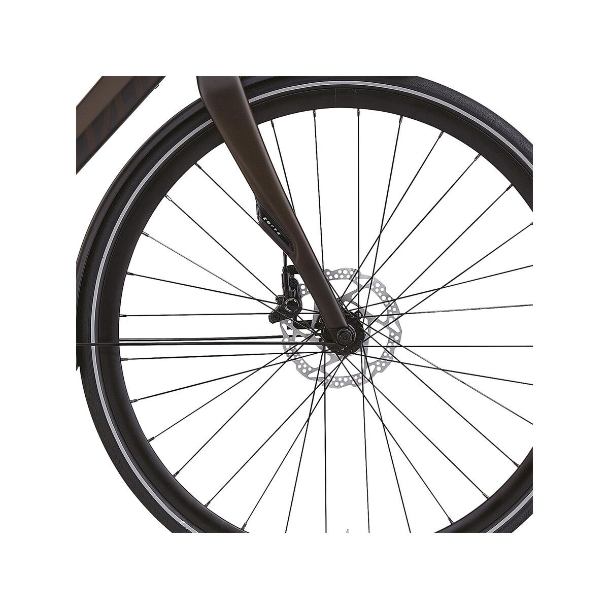 Specialized Source Expert Carbon Disc, Satin Tinted Brown Carbon/Gloss Brown Carbon - Bild 2