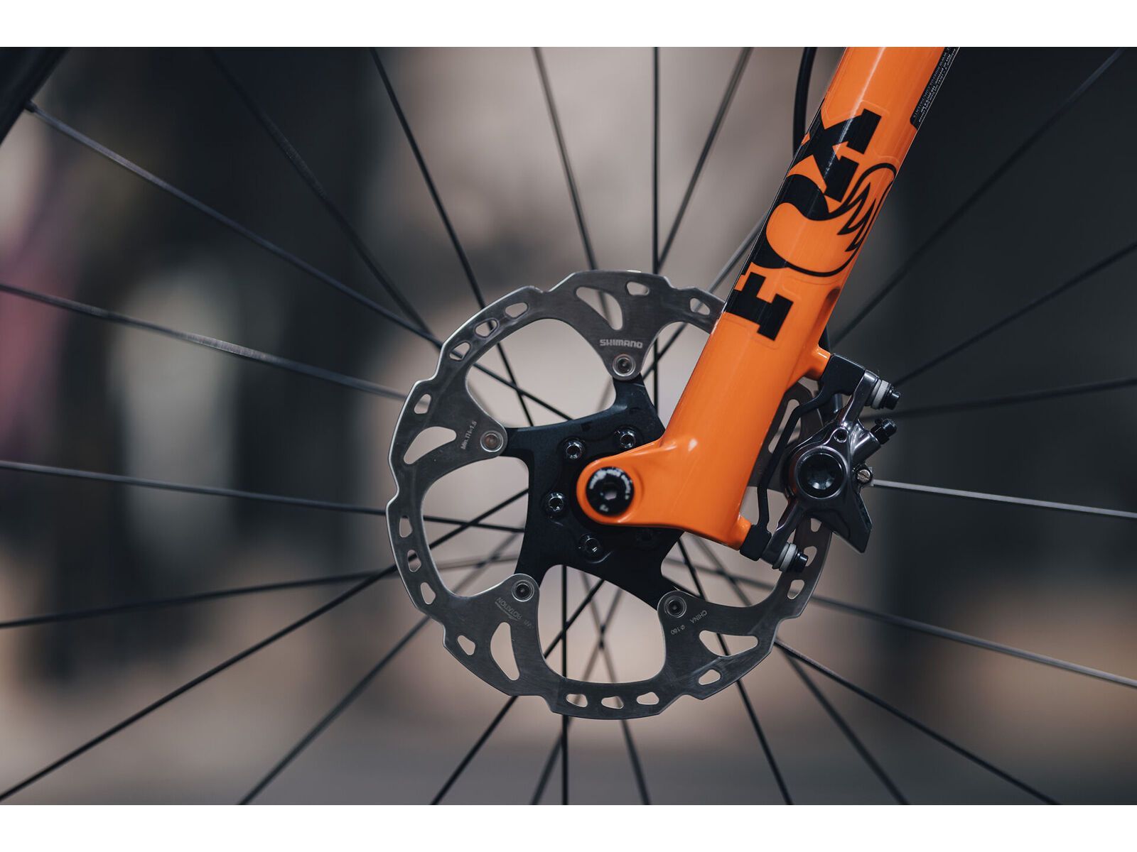 Cube Phenix C:68X SLX 29, teamline - Bild 12