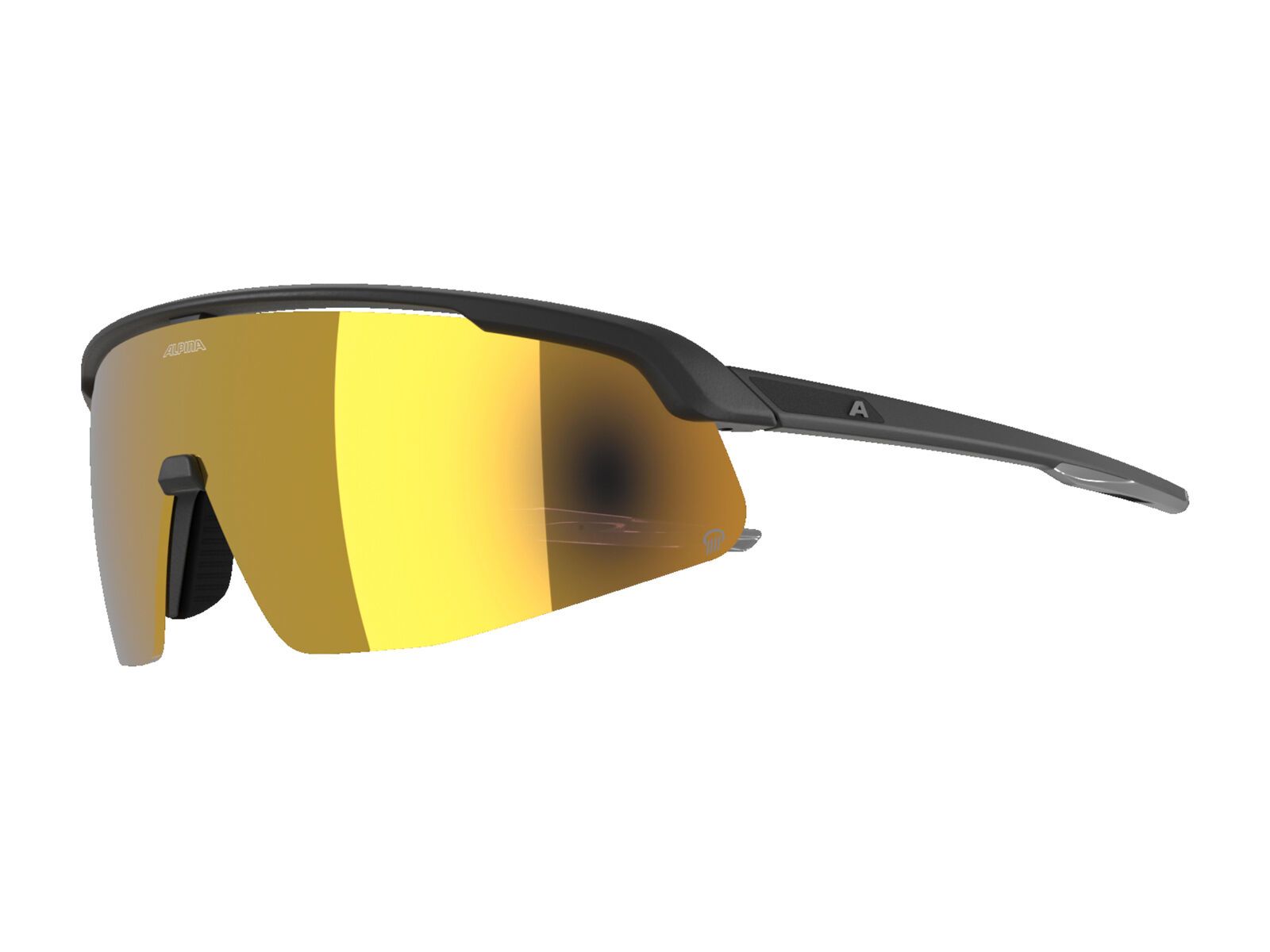 Alpina Turbo Pro Q, Gold Mirror / black matt - Bild 4