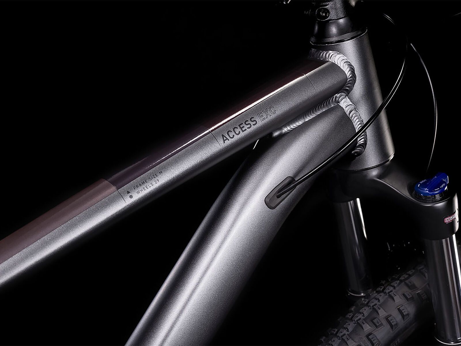 Cube Access WS EXC 29, grey´n´berry - Bild 2
