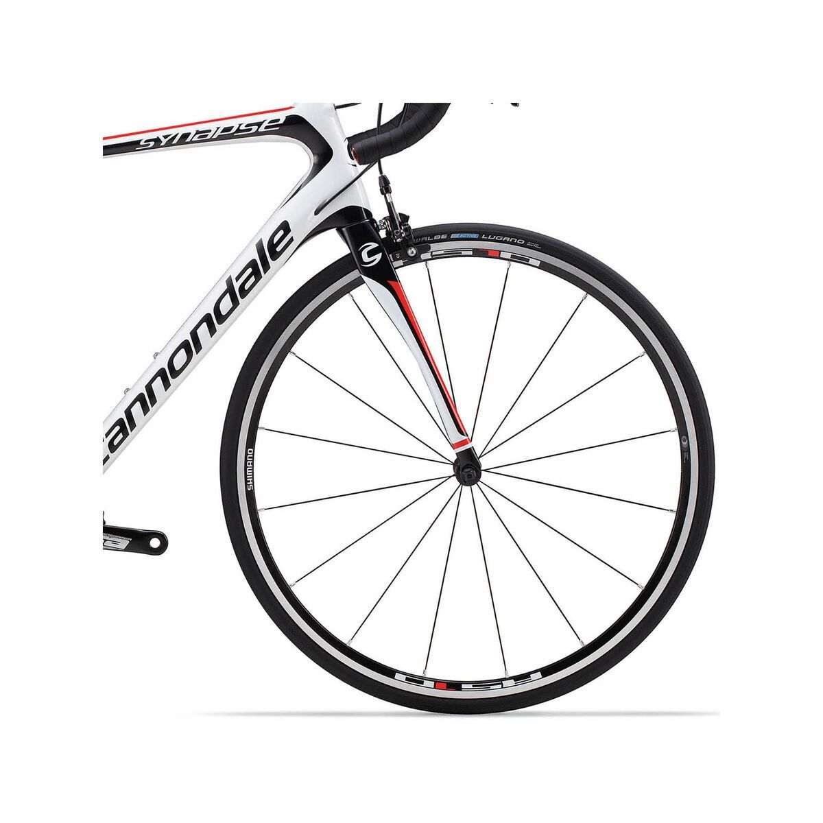 Cannondale Synapse Carbon 105 Triple, weiß - Bild 2