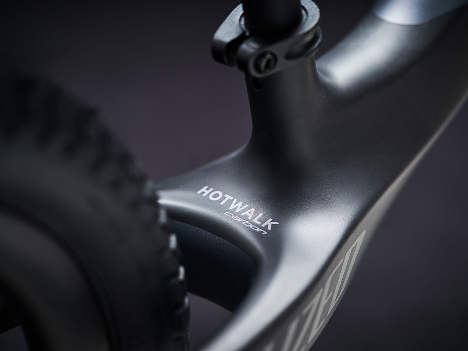 Specialized Hotwalk Carbon, satin chameleon/carbon - Bild 8