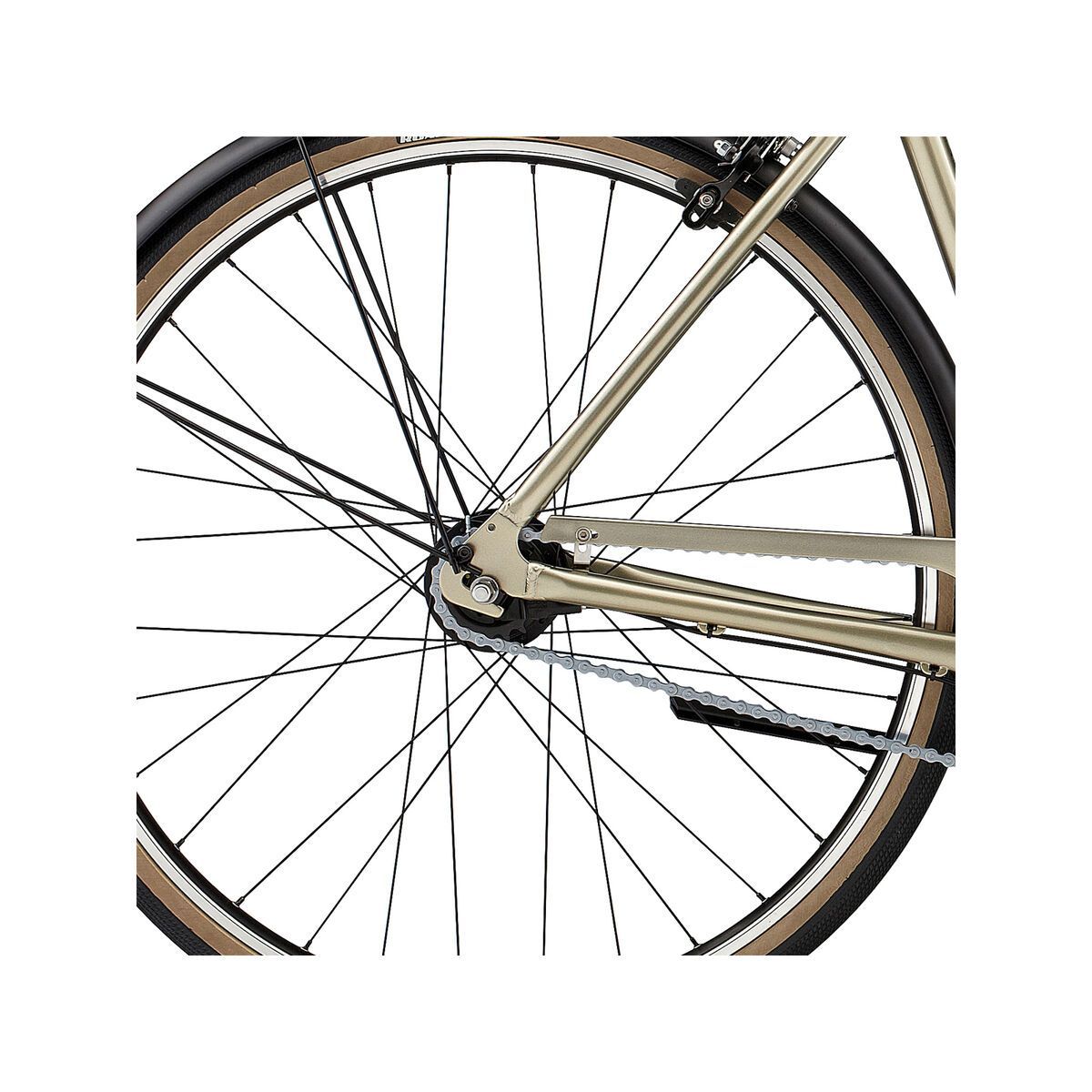 Specialized Daily Elite, gloss titanium - Bild 4